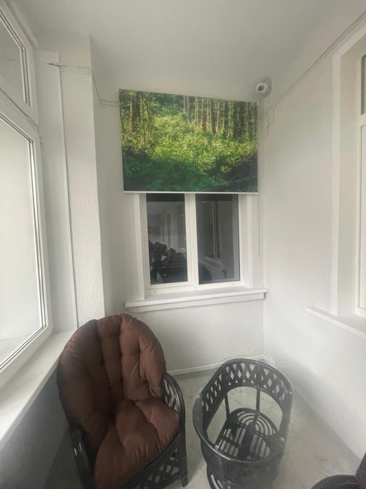  лес в онко (7)